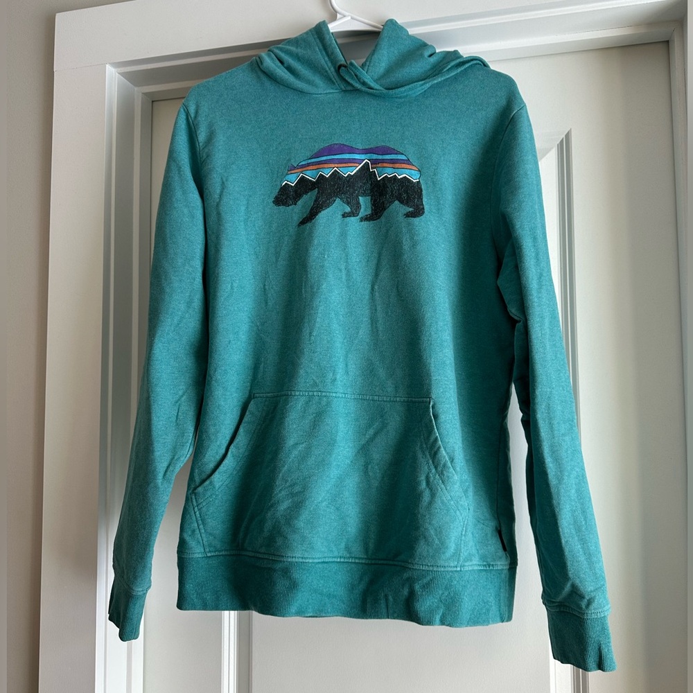 Patagonia Organic Cotton Teal Hoodie